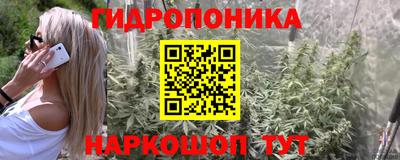 мет Ливны
