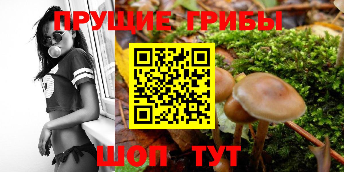 Галлюциногенные грибы Magic Shrooms Гусиноозёрск