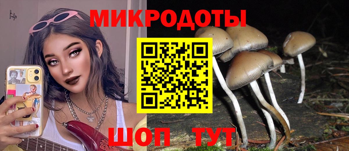 даркнет сайт  Вход с VPN  Гусиноозёрск  Псилоцибиновые грибы Psilocybine cubensis 